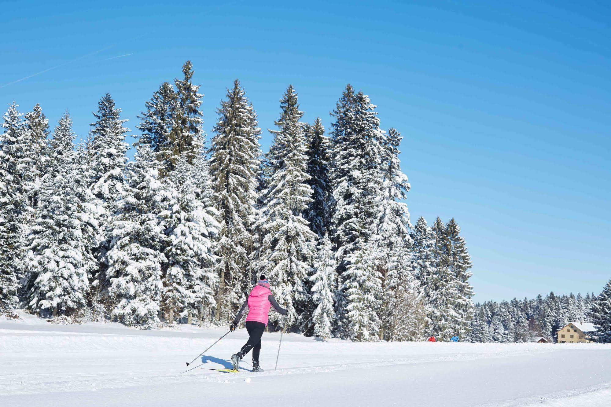 Allgaeu Sonne Oberstaufen Εξωτερικό φωτογραφία